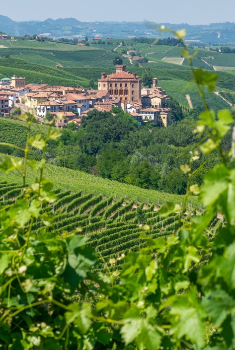 BAROLO, das kleine Weindorf im Piemont,