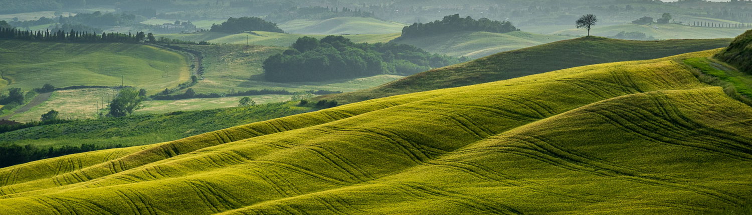 Wanderreise in der Bilderbuchlandschaft der Toskana