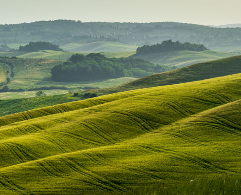 Wanderreise in der Bilderbuchlandschaft der Toskana